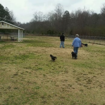 Windermere Park - Small dog's half of park - Dog Parks Near Me - Cumming, Georgia Windermere Park - Small dog's half of park - Dog Parks Near Me - Cumming, Georgia