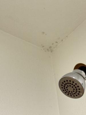 Jupiter NEXT by null