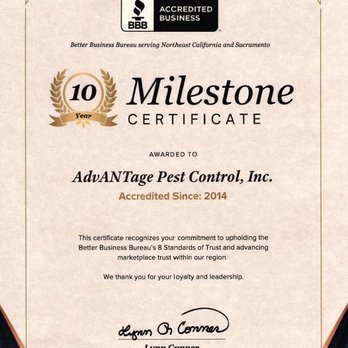 Advantage Pest Control - Proud to have received the Better Business Bureau's 10-Year Milestone award this year! - Pest Control Near Me - Roseville, California Advantage Pest Control - Proud to have received the Better Business Bureau's 10-Year Milestone award this year! - Pest Control Near Me - Roseville, California