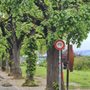 Photo of Stresemann-Ufer