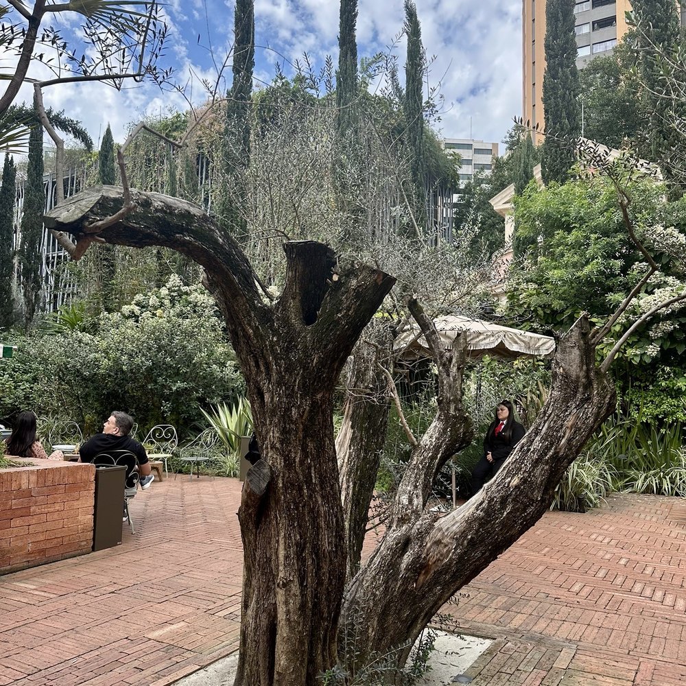 Cidade Matarazzo - Venues & Event Spaces Near Me - São Paulo, SP
