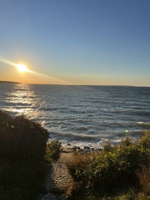 The Montauket by null