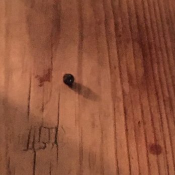 The Pig and Butcher - The buckshot in my pheasant. Lol! So cool! - British Near Me - London, XGL The Pig and Butcher - The buckshot in my pheasant. Lol! So cool! - British Near Me - London, XGL