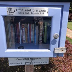 Little Free Library - Little blue