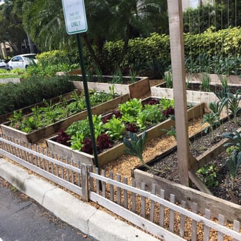 Farmer's Table - Vegetable garden - Desserts Near Me - Boca Raton, Florida Farmer's Table - Vegetable garden - Desserts Near Me - Boca Raton, Florida