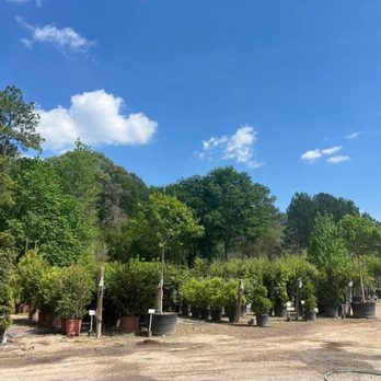 1314 Nursery - Nurseries & Gardening Near Me - Conroe, Texas 1314 Nursery - Nurseries & Gardening Near Me - Conroe, Texas
