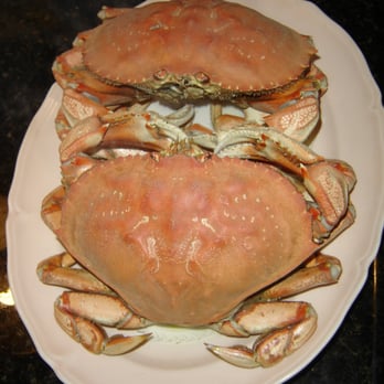 New Century Seafood - Cooked to perfection - Seafood Markets Near Me - San Francisco, California New Century Seafood - Cooked to perfection - Seafood Markets Near Me - San Francisco, California