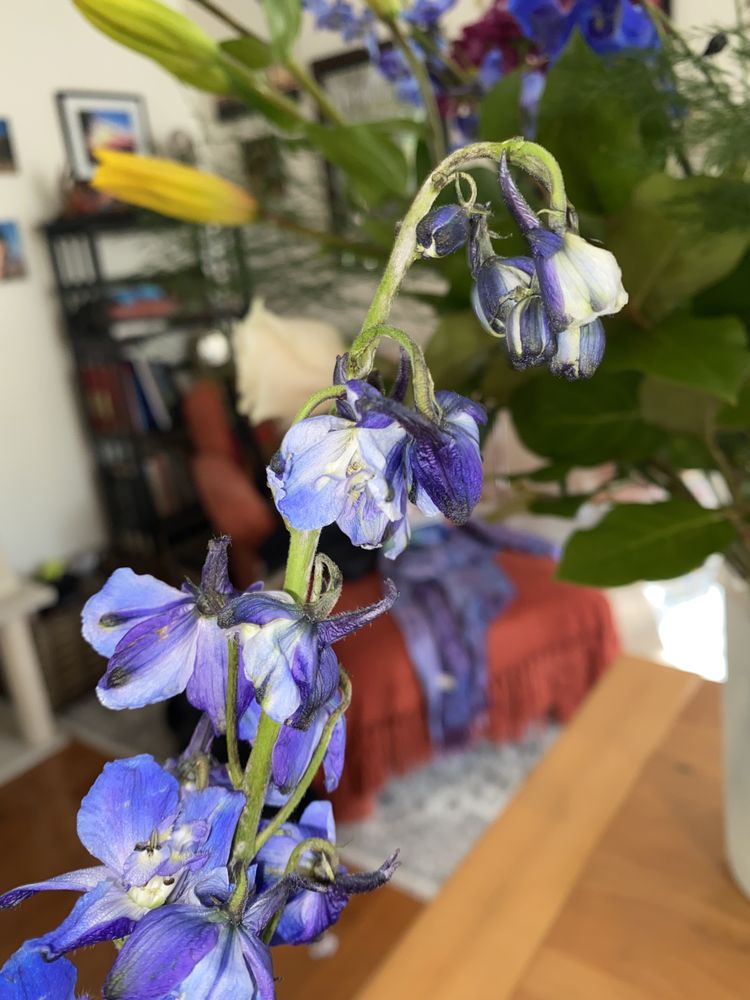 JORDAN’S FLORAL & GIFTS, INC. Updated October 2024 10 Photos & 20 Reviews 213 US Route 1