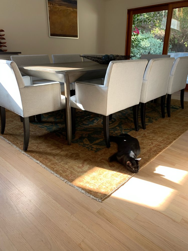 101 RUG CLEANING SERVICES Updated June 2024 17 Photos 6164