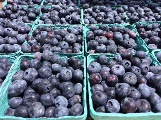 Copley Square Farmers Market by null
