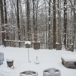 Another Winter view from the picture window of the massage suite.