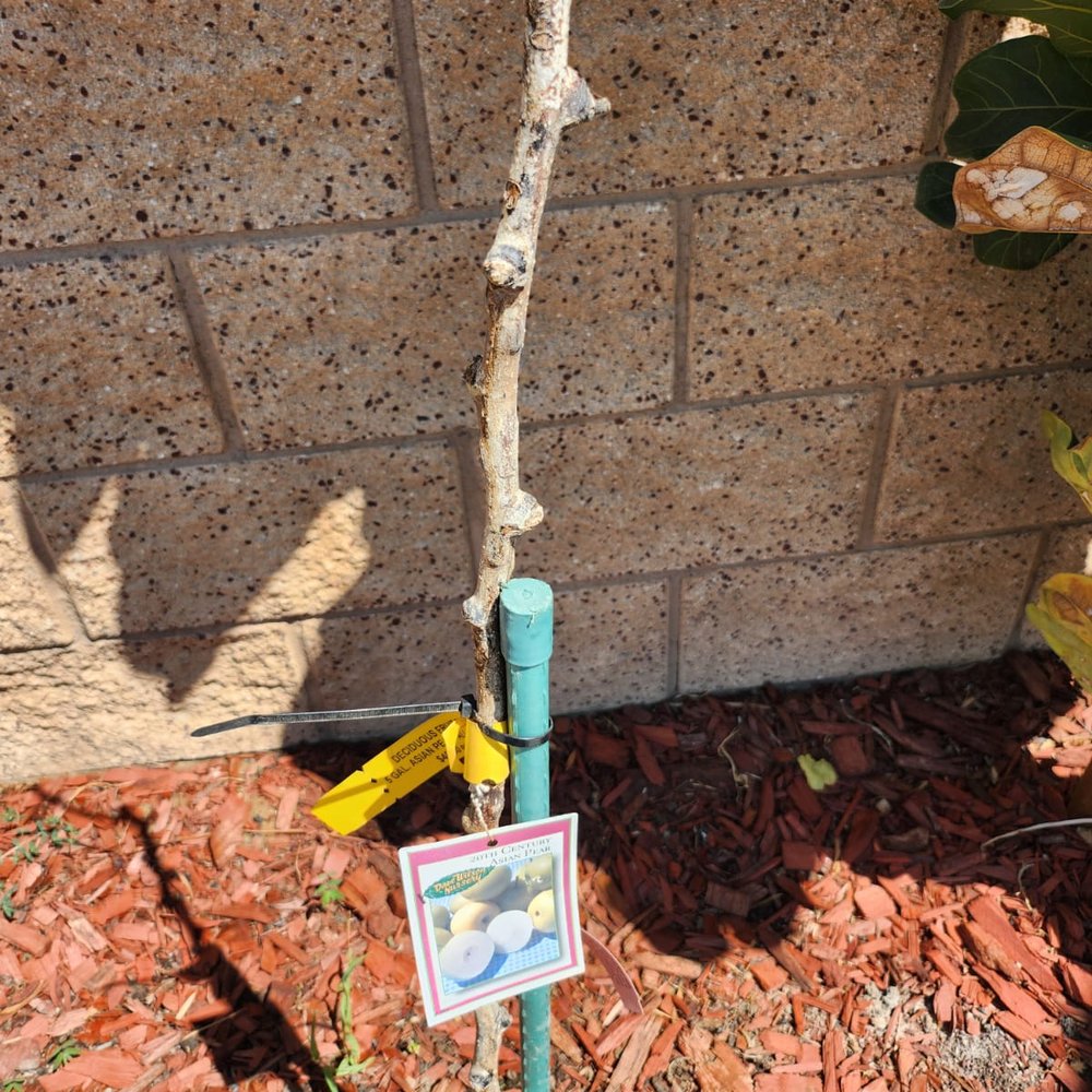 Sunshine Growers Nursery - Nurseries & Gardening Near Me - Eastvale, California