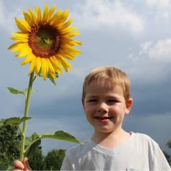 Wilson Family Farm
