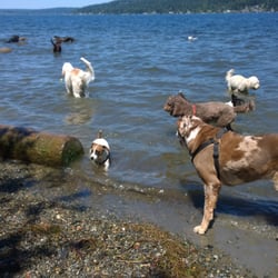 Bigfoot Doggie Dayhikes