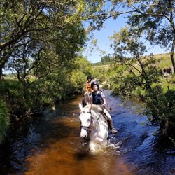 Hollywood Horse and Pony Trekking - Glendalouch