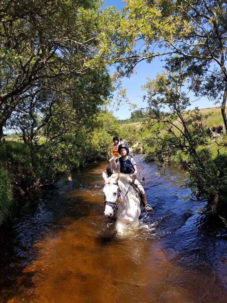 HOLLYWOOD HORSE AND PONY TREKKING 21 Photos Knocknadroose