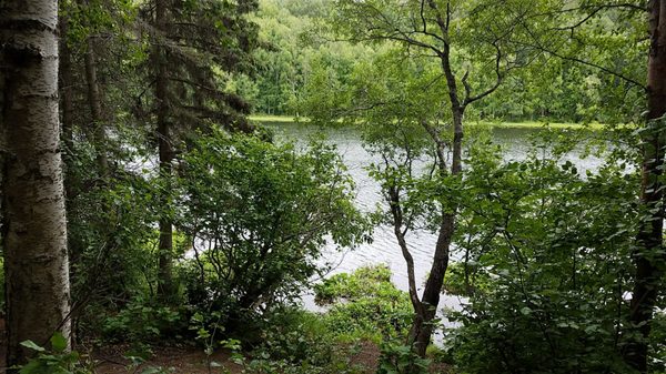 Kincaid Park by null