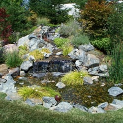Kaylor Landscape