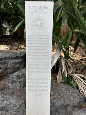 Honolulu Zoo by null