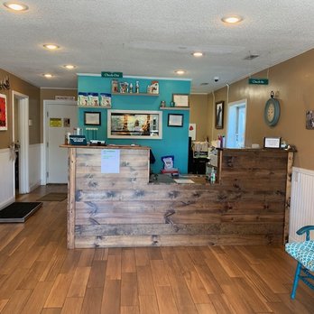 York Veterinary Services - Veterinarians Near Me - York, South Carolina York Veterinary Services - Veterinarians Near Me - York, South Carolina