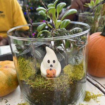 English Gardens - The provided terrarium example - Nurseries & Gardening Near Me - Eastpointe, Michigan