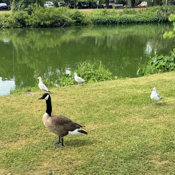 Lake Mayer Park - Parks Near Me - Savannah, Georgia