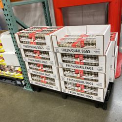 Costco Business Center