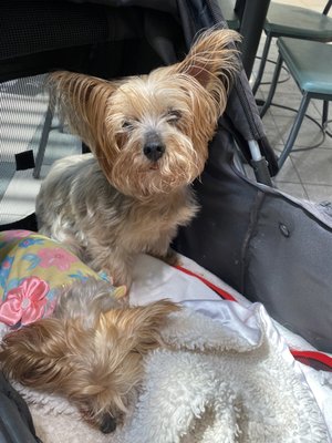 Melbourne Square by null