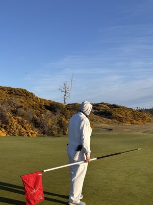 Bandon Dunes Golf Resort - Pacific Dunes by null