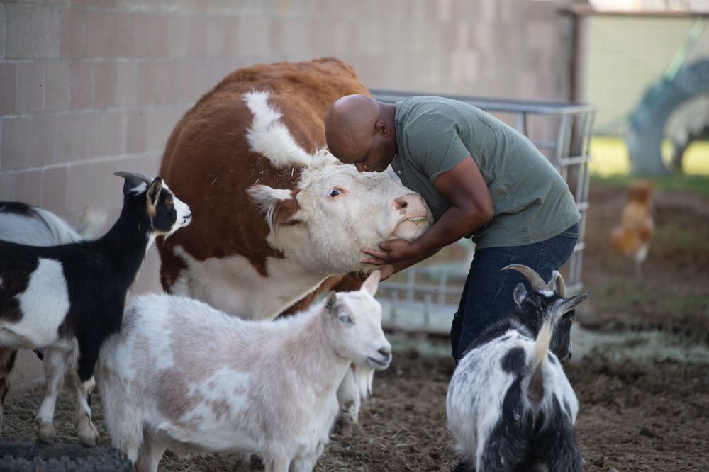 Rowell Ranch - social services organization in Chandler, AZ
