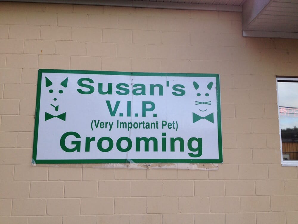 SUSANS VIP GROOMING Updated September 2024 11 Reviews 778 1/2 Folly Rd, Charleston, South