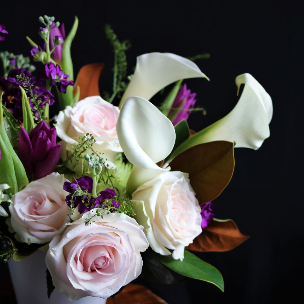 Giant Eagle Flowers New Castle Pa Best Flower Site