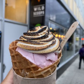 Wild Scoops - Ice Cream & Frozen Yogurt Near Me - Anchorage, Alaska Wild Scoops - Ice Cream & Frozen Yogurt Near Me - Anchorage, Alaska