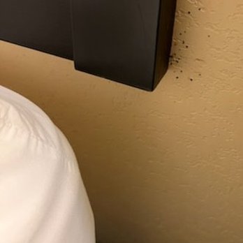 Hampton Inn & Suites Mt. Juliet - Hotels Near Me - Mount Juliet, Tennessee Hampton Inn & Suites Mt. Juliet - Hotels Near Me - Mount Juliet, Tennessee