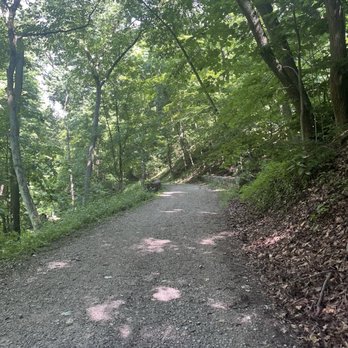 Schenley Park - Parks Near Me