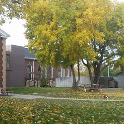 Community Cooperative Nature School - Panorama of outdoor area