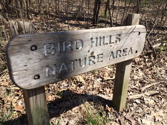 Bird Hills Nature Area by null