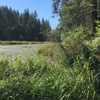 Minnekhada Regional Park - The Lower Marsh on the Lodge Trail. - Hiking Near Me - Coquitlam, British Columbia