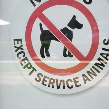 Bynx - Not Dog friendly - Coffee & Tea Near Me - Orlando, Florida Bynx - Not Dog friendly - Coffee & Tea Near Me - Orlando, Florida