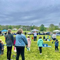 Bubbletopia -- Springton Manor Farm, Sheep & Wool 2024