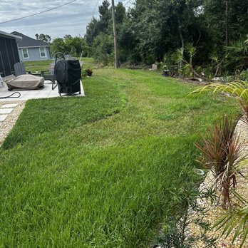 Arrow Environmental Services - My yard was green in this area - Pest Control Near Me - Sarasota, Florida Arrow Environmental Services - My yard was green in this area - Pest Control Near Me - Sarasota, Florida