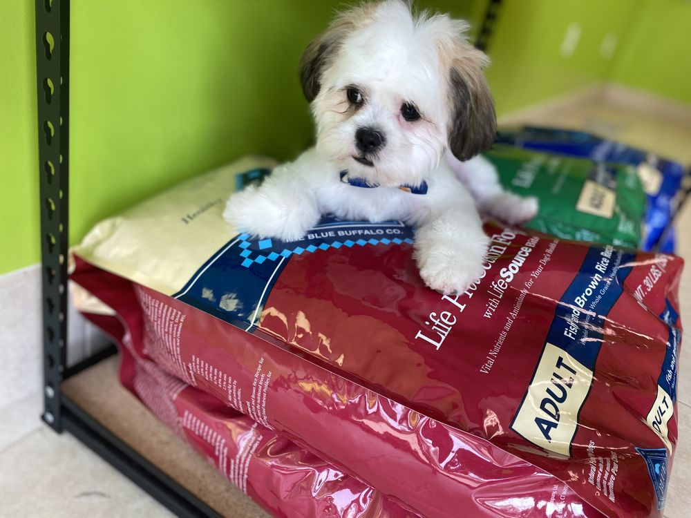 KENNEDY’S PET SERVICES Updated July 2024 76 Photos & 14 Reviews