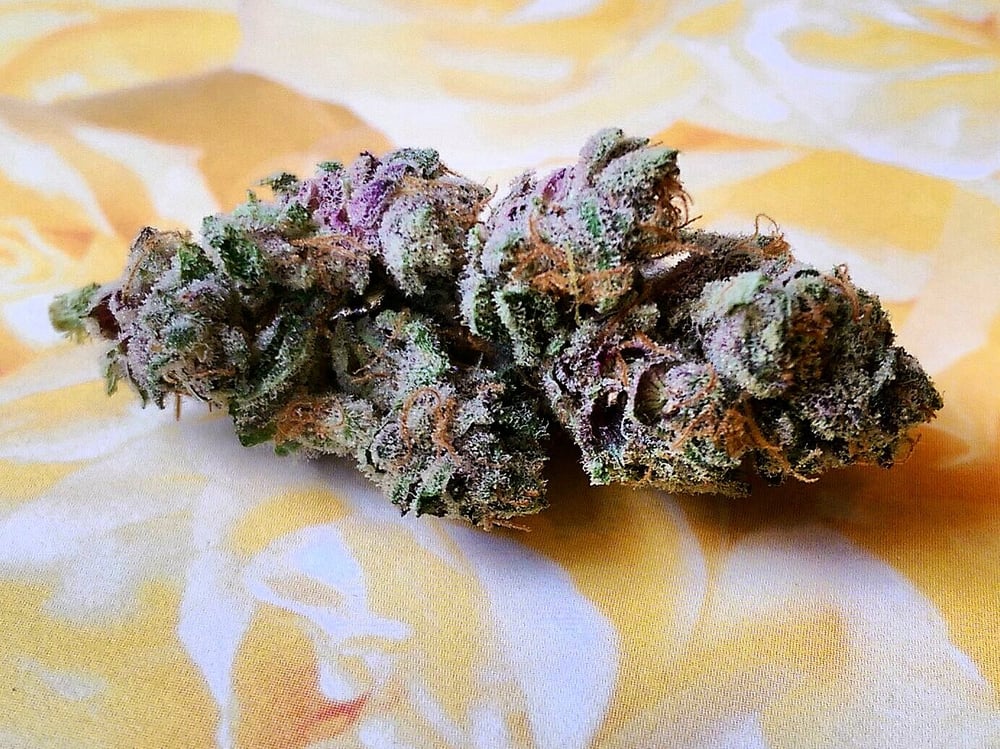 THE HEMP CENTER Updated October 2024 13 Photos 5744 S Datura St, Littleton, Colorado