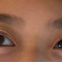 The Lash Lounge - Lash Lift, Tint & Eyebrow Threading & Tint