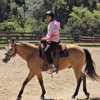 Poway Horse Party - Kids Activities Near Me