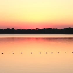 Lehmann Park - Sunset