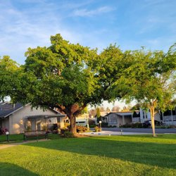 Willow Ranch