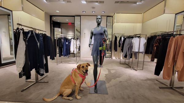 Neiman Marcus by null