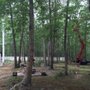 Photo of Jason Pilla Tree Specialist