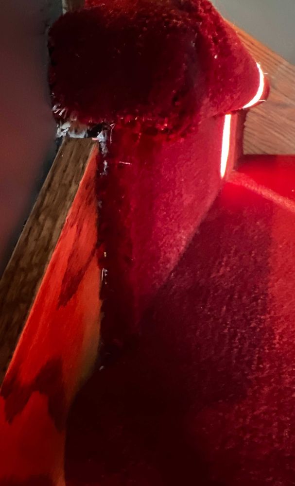 MDS construction - a red teddy bear sitting in a corner - General Contractors Near Me - Dixon, Illinois MDS construction - a red teddy bear sitting in a corner - General Contractors Near Me - Dixon, Illinois